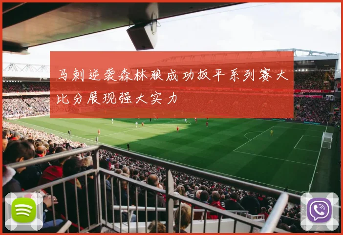 马刺逆袭森林狼成功扳平系列赛大比分展现强大实力